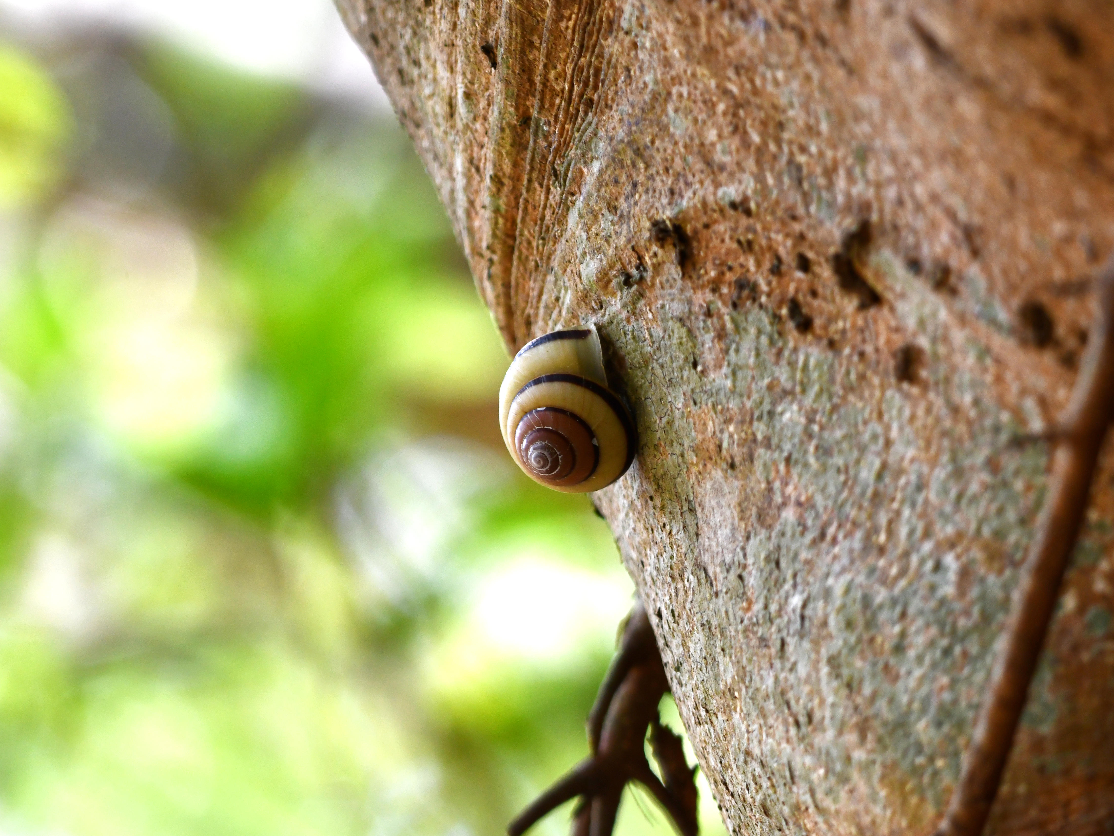 #54:
          STAY TUNED...
          f/ at mm - Shutter Speed: - ISO: