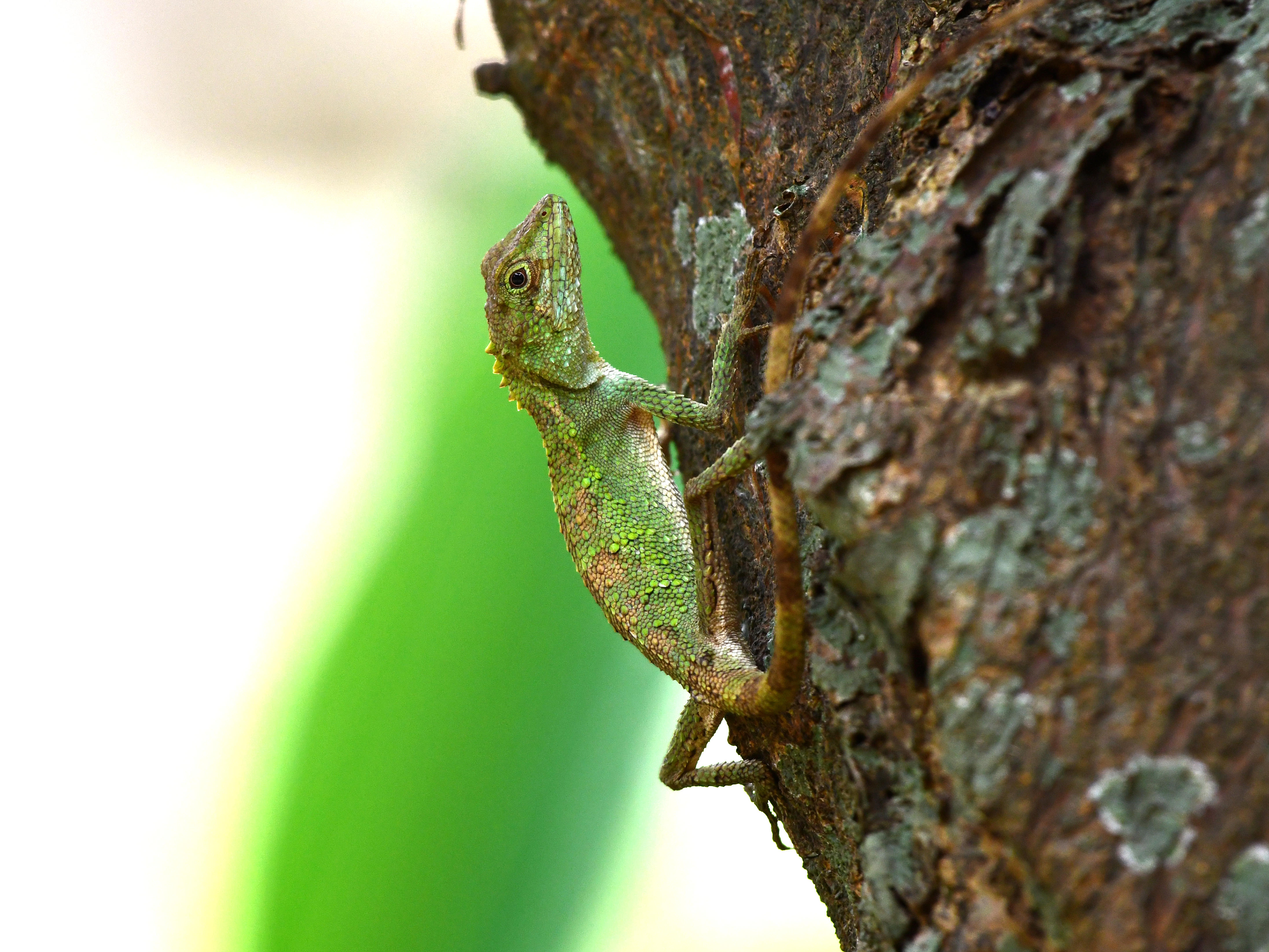 #57:
          STAY TUNED...
          f/ at mm - Shutter Speed: - ISO: