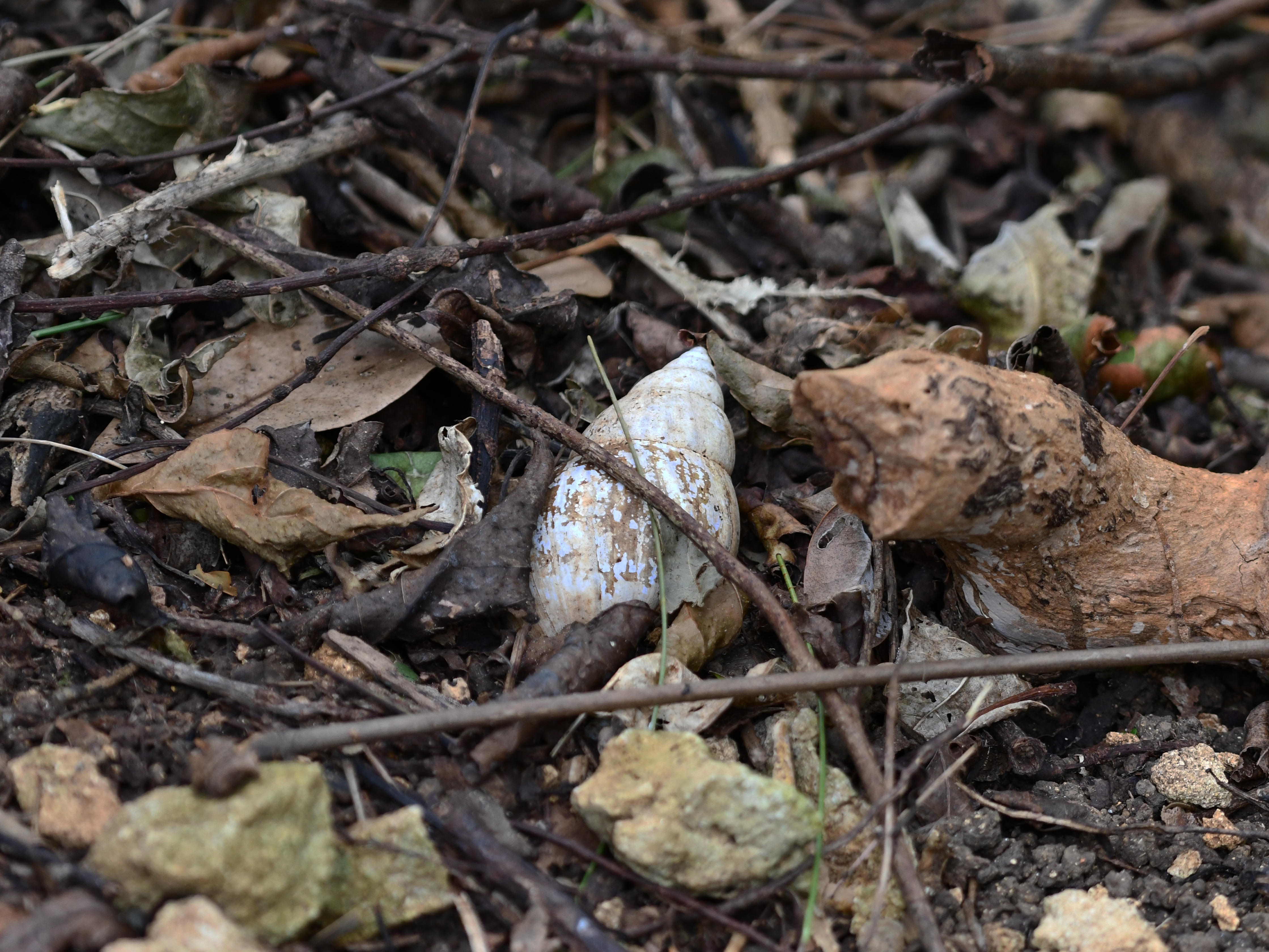 #60:
          STAY TUNED...
          f/ at mm - Shutter Speed: - ISO: