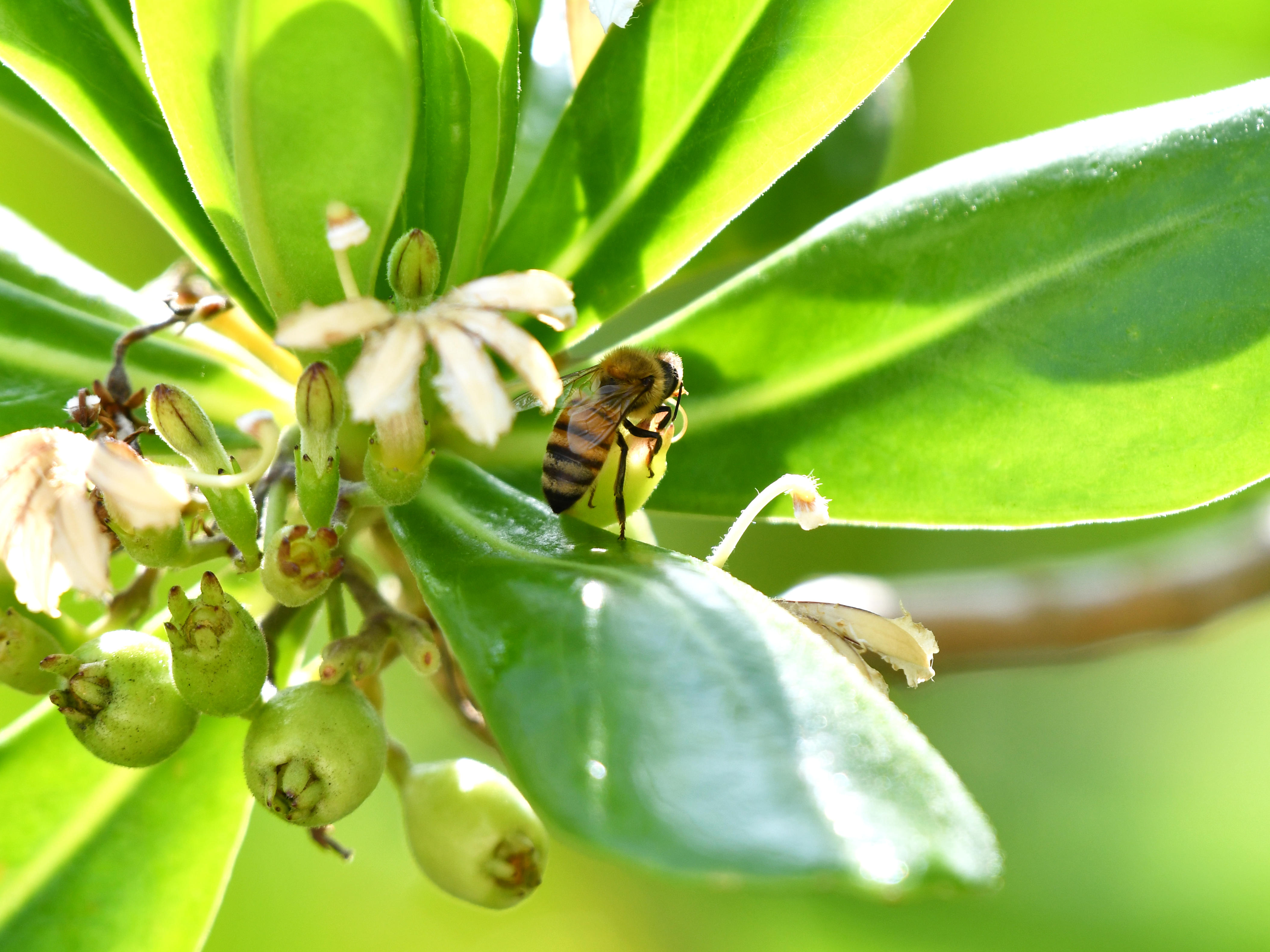 #65:
          STAY TUNED...
          f/ at mm - Shutter Speed: - ISO: