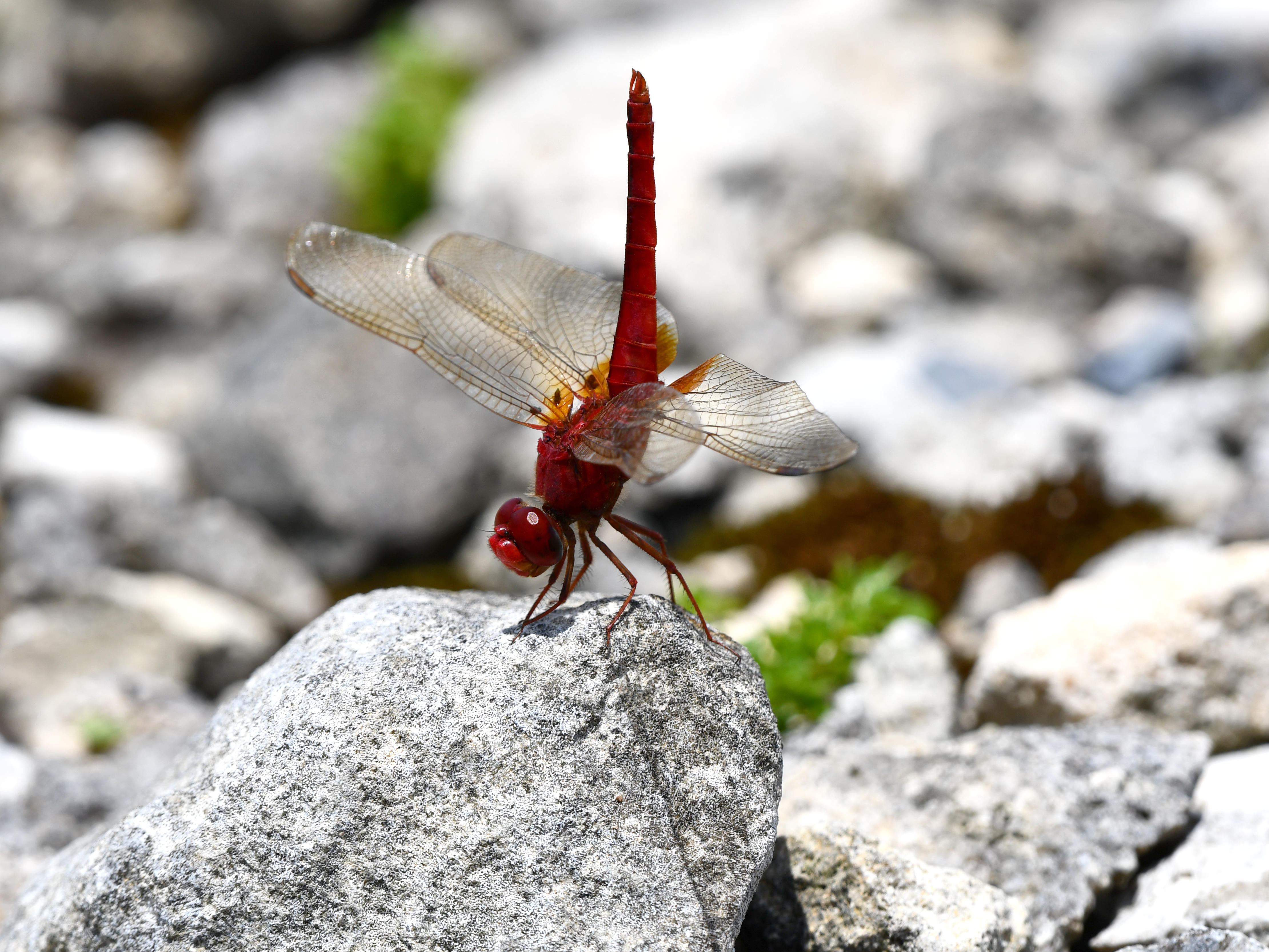 #74:
          STAY TUNED...
          f/ at mm - Shutter Speed: - ISO: