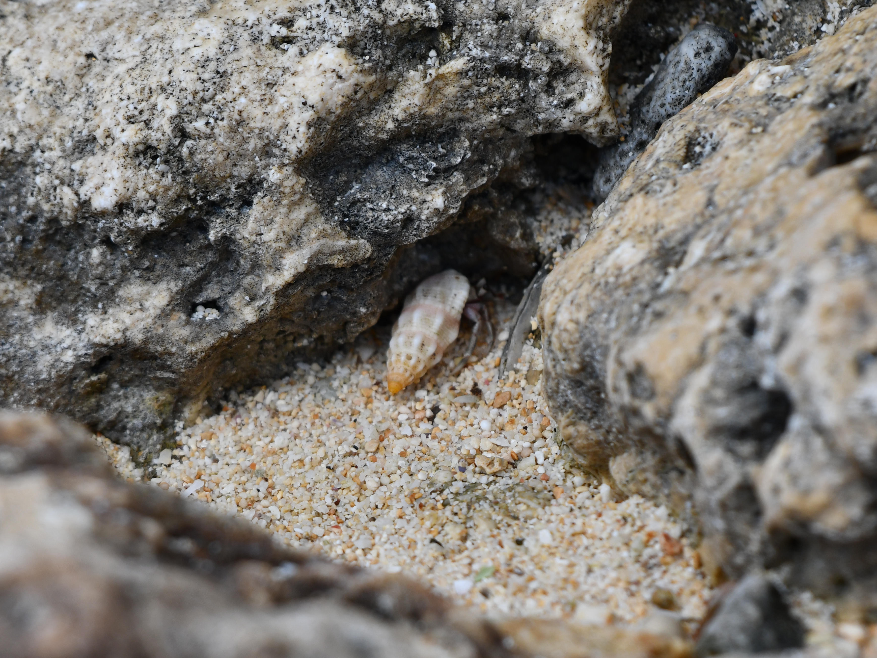 #75:
          STAY TUNED...
          f/ at mm - Shutter Speed: - ISO: