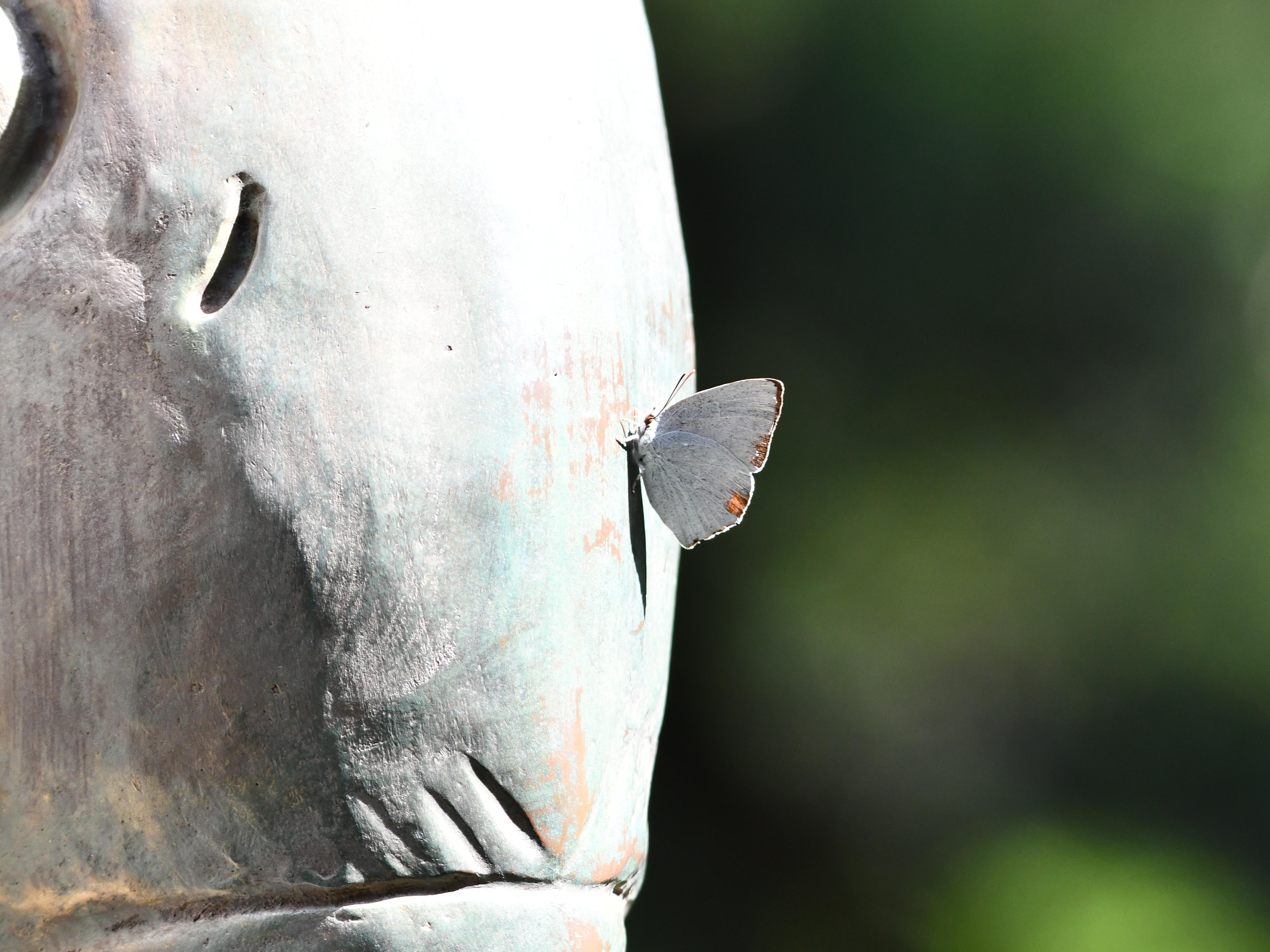 #77:
          STAY TUNED...
          f/ at mm - Shutter Speed: - ISO: