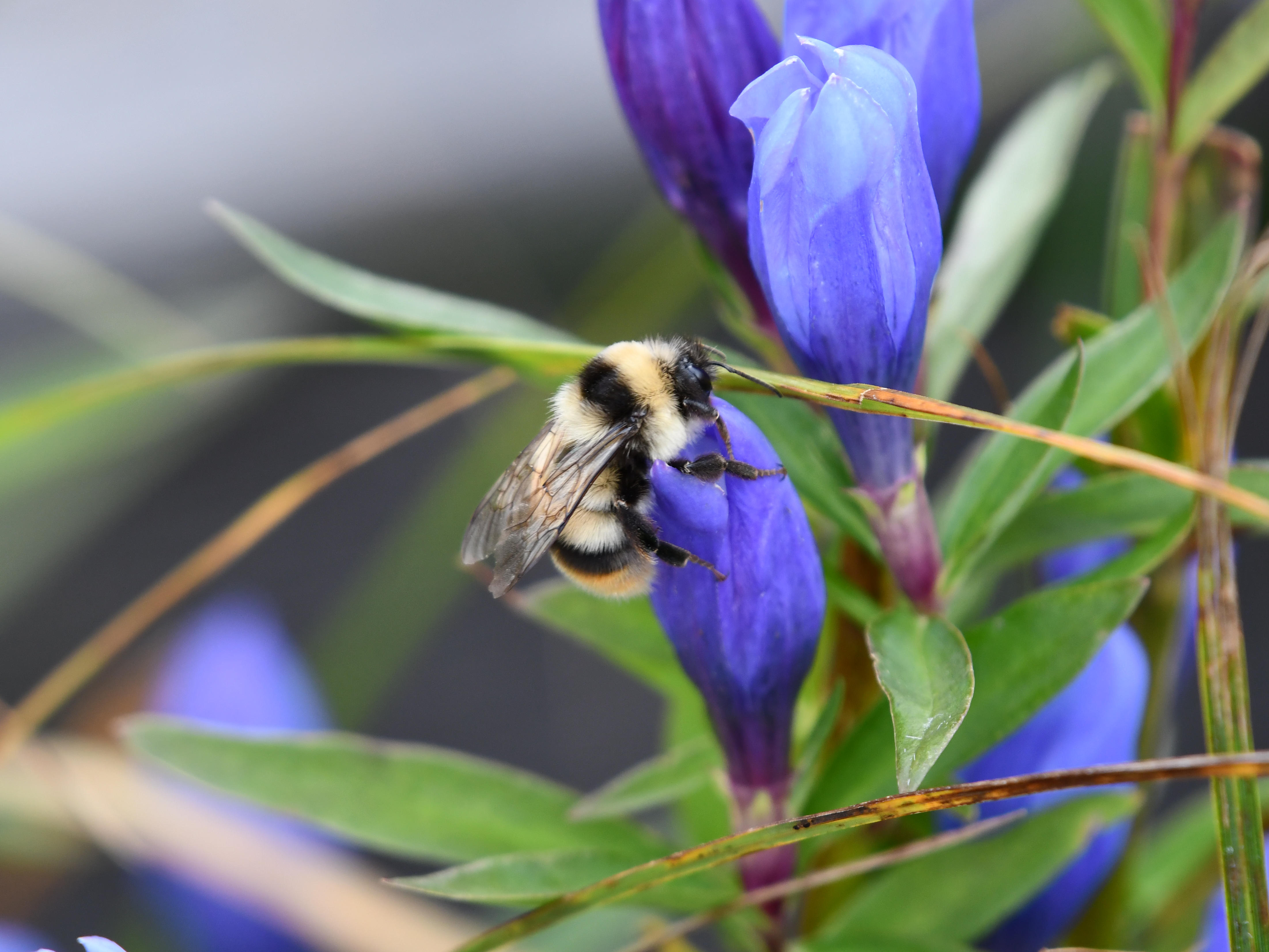 #79:
          STAY TUNED...
          f/ at mm - Shutter Speed: - ISO: