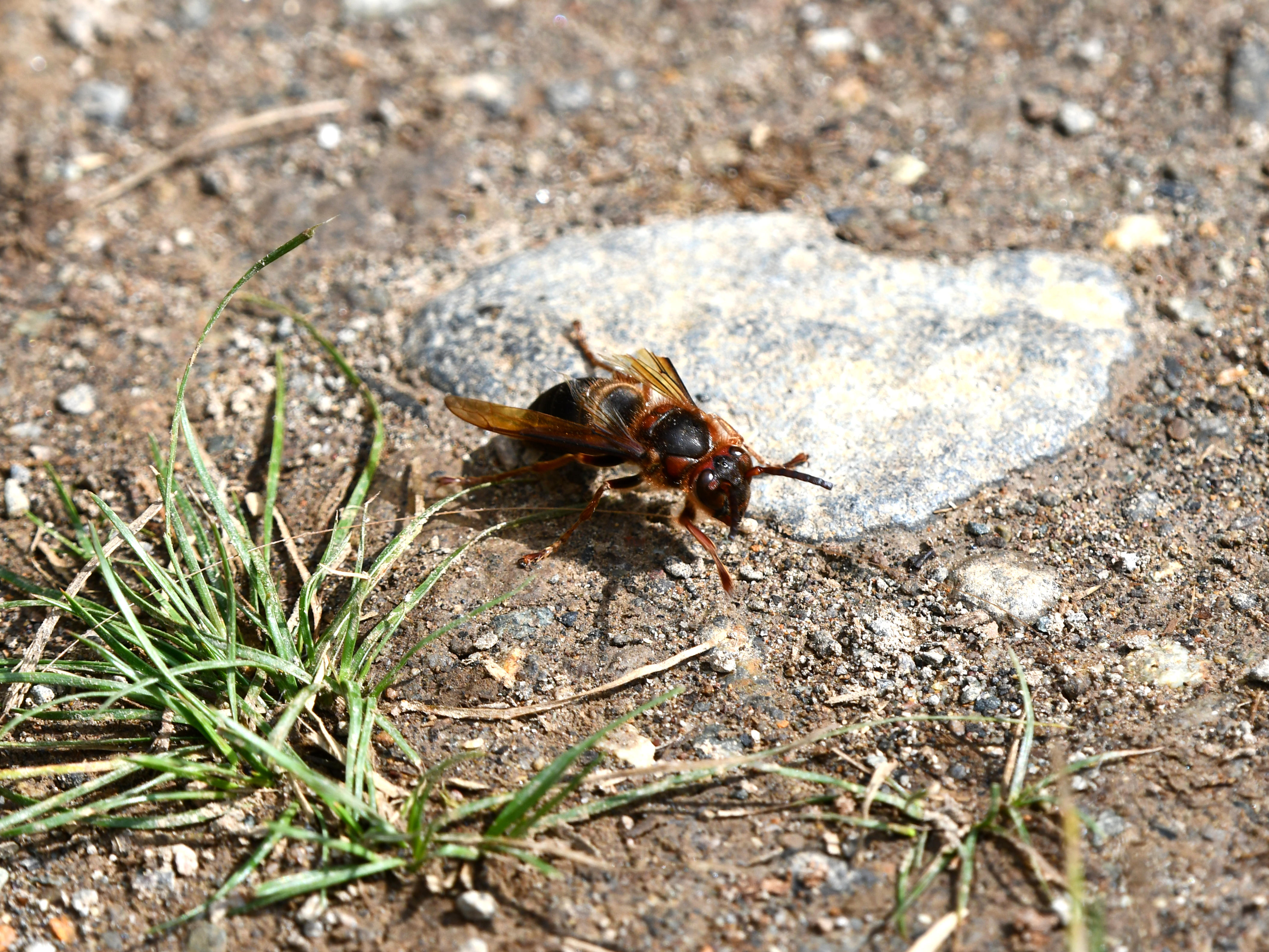 #80:
          STAY TUNED...
          f/ at mm - Shutter Speed: - ISO: