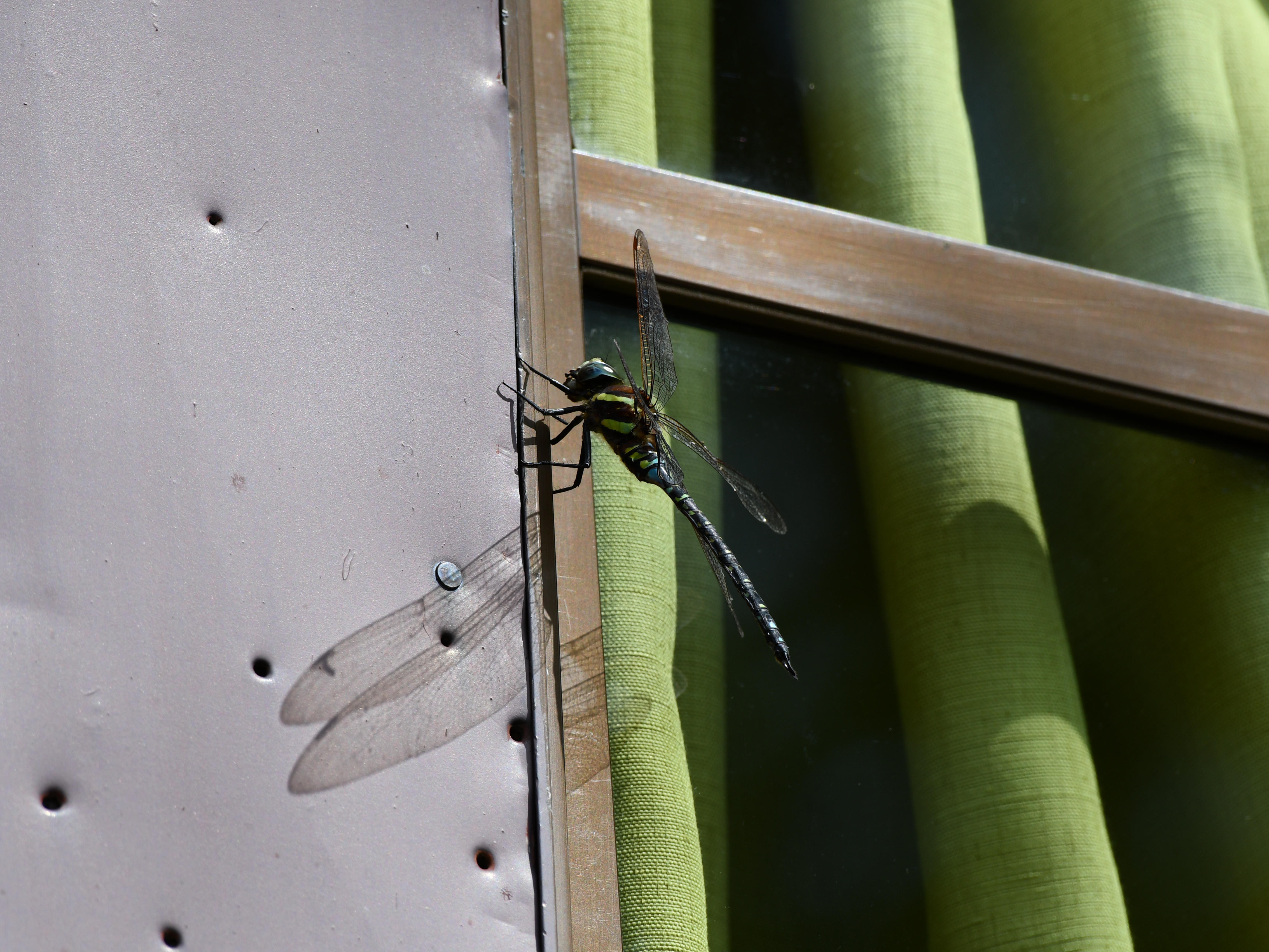 #81:
          STAY TUNED...
          f/ at mm - Shutter Speed: - ISO: