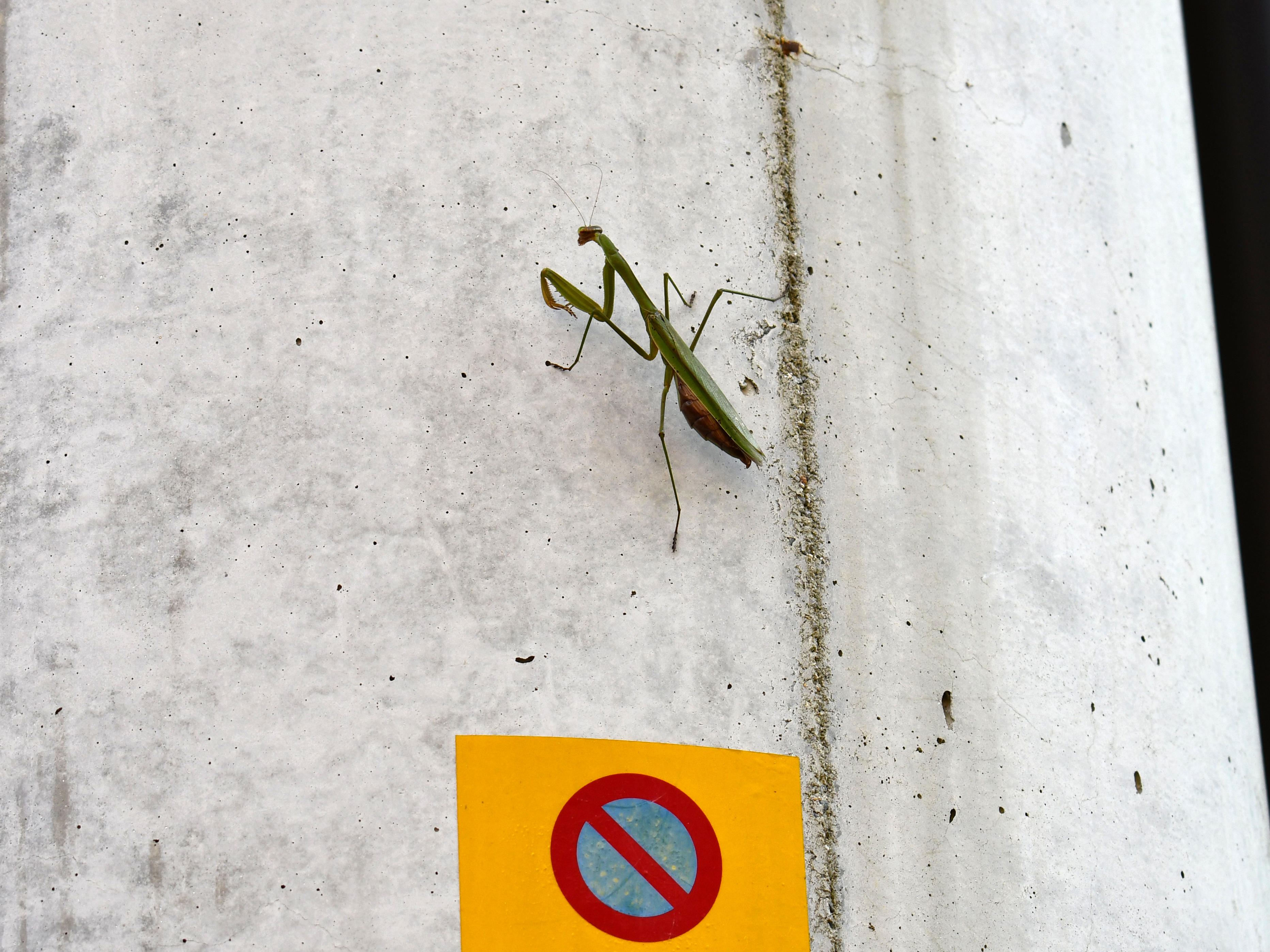 #87:
          STAY TUNED...
          f/ at mm - Shutter Speed: - ISO: