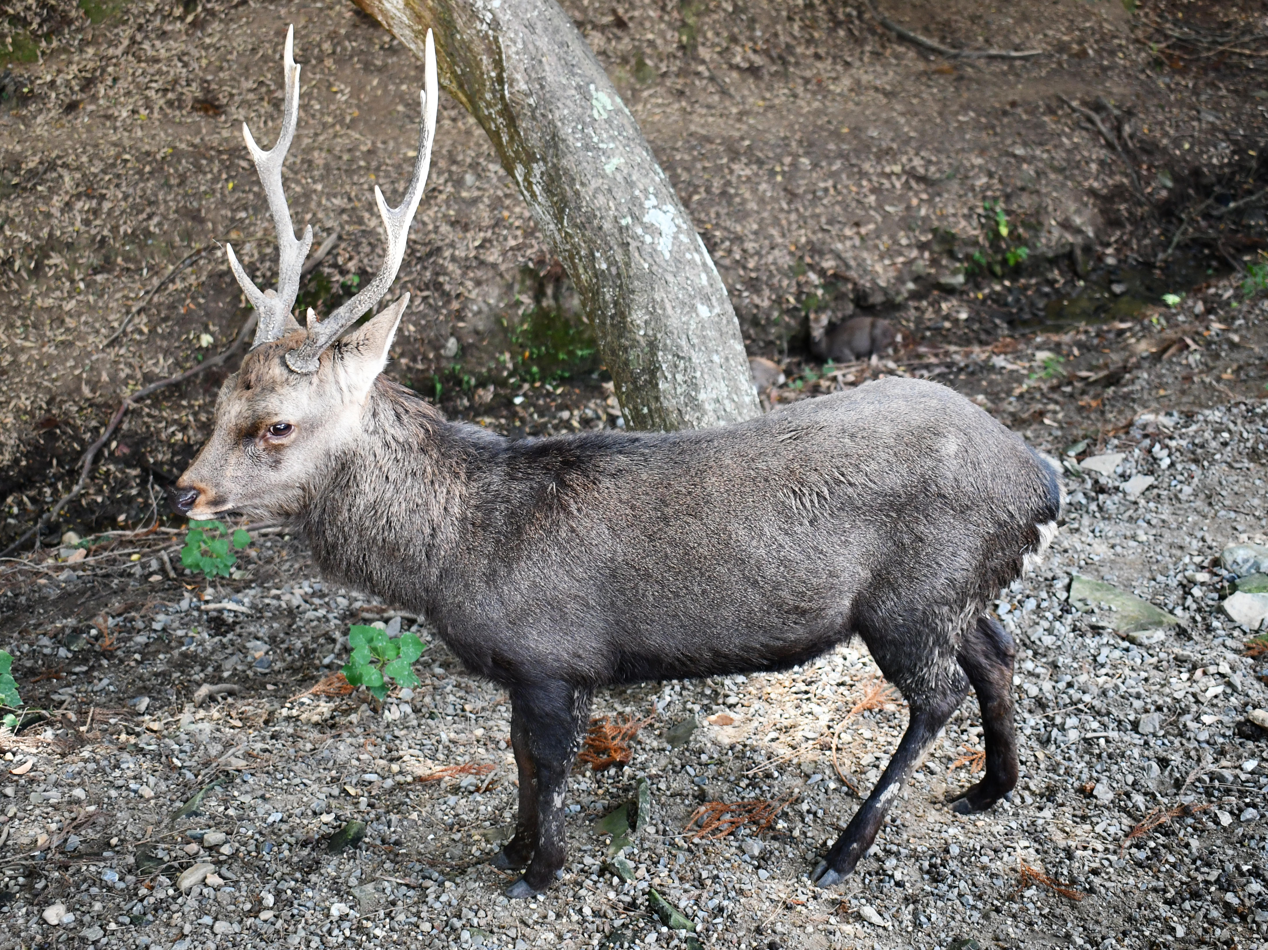 #88:
          STAY TUNED...
          f/ at mm - Shutter Speed: - ISO: