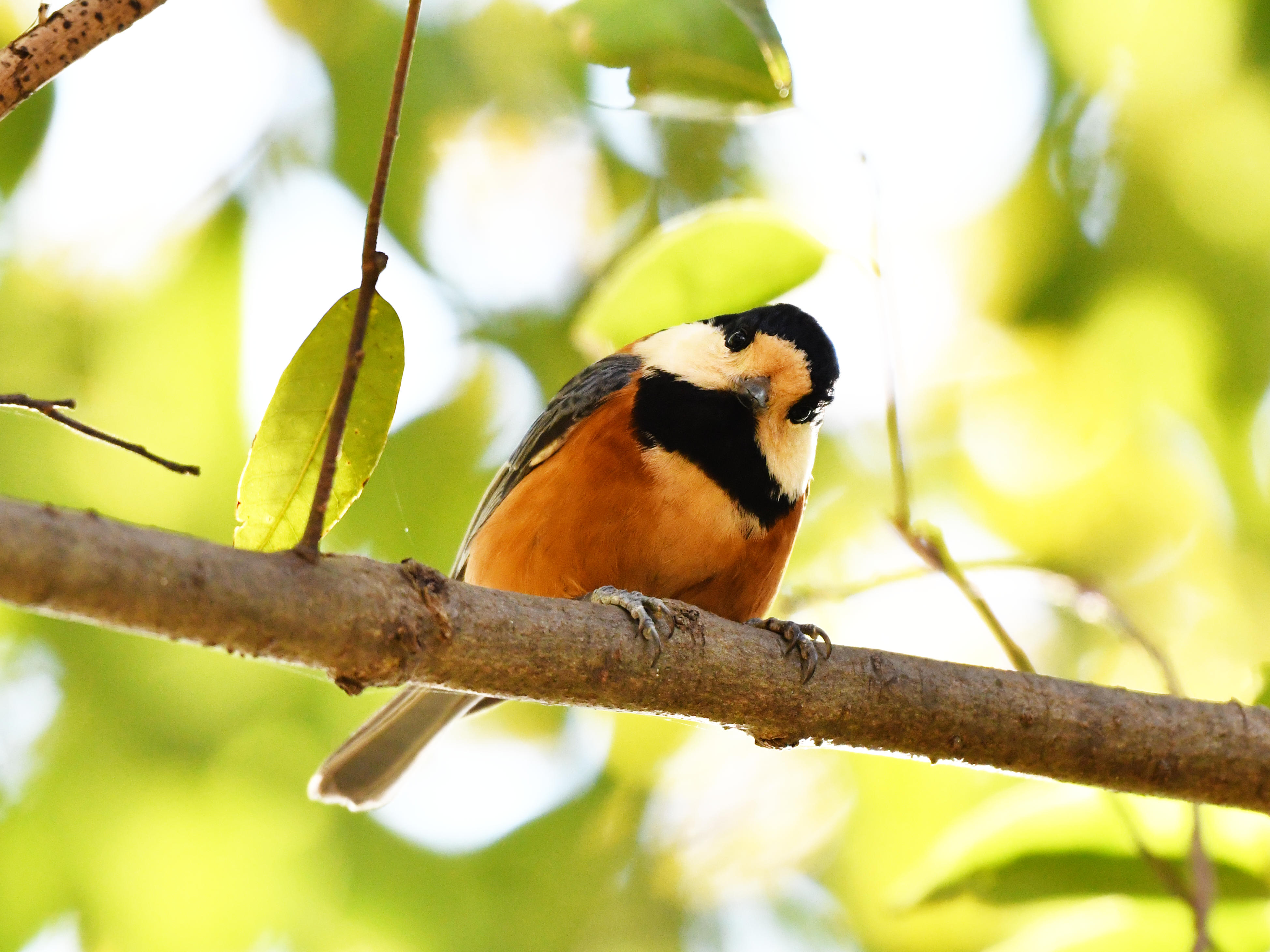 #94:
    STAY TUNED...
    f/ at mm - Shutter Speed: - ISO: